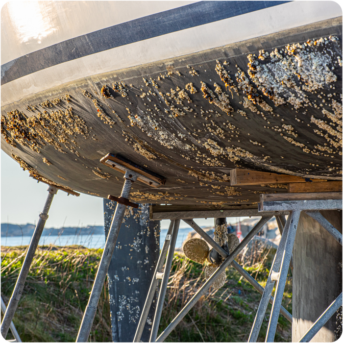 Antifouling-Guide: Die richtige Wahl für jedes Gewässer treffen