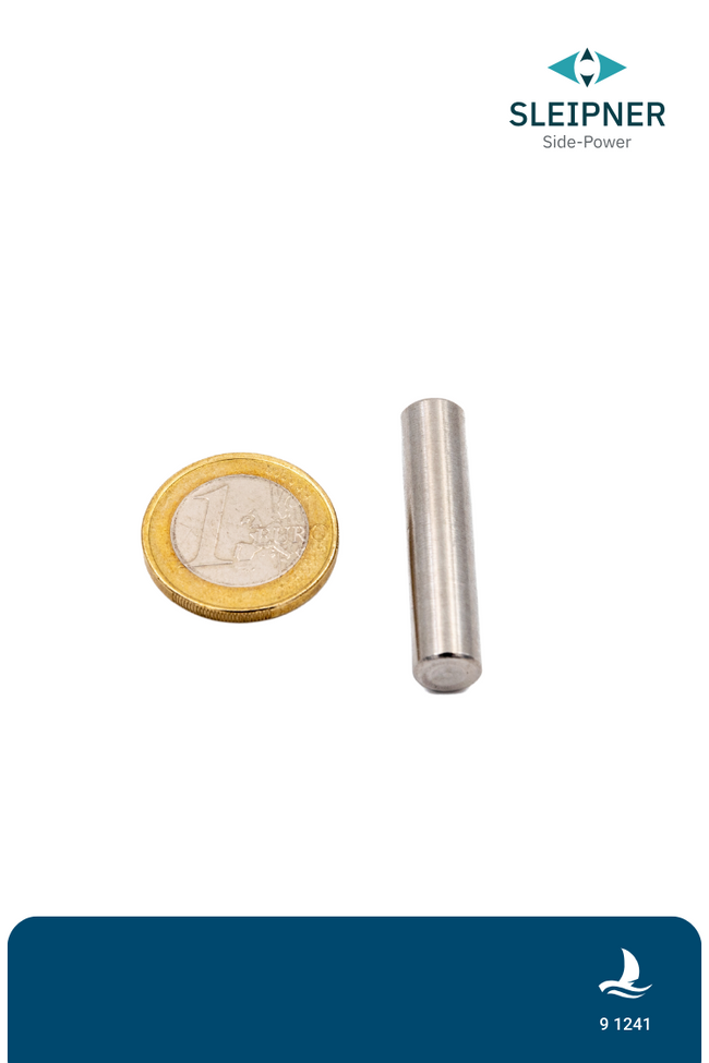Mitnehmerstift für SE120 - SE300 (9 1241) Side-Power / Sleipner®