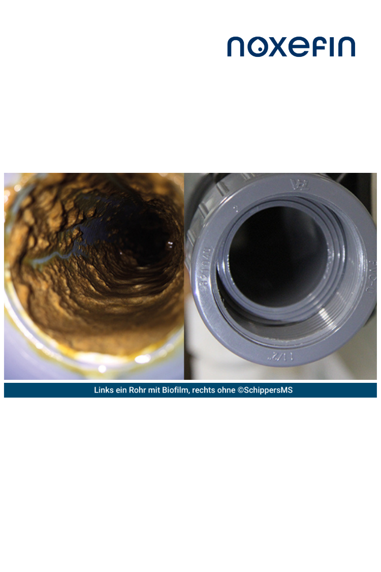 ADD.ONE MOBILITY by noxefin® - Wasseraufbereitung & Trinkwasserdesinfektion I 20 Liter