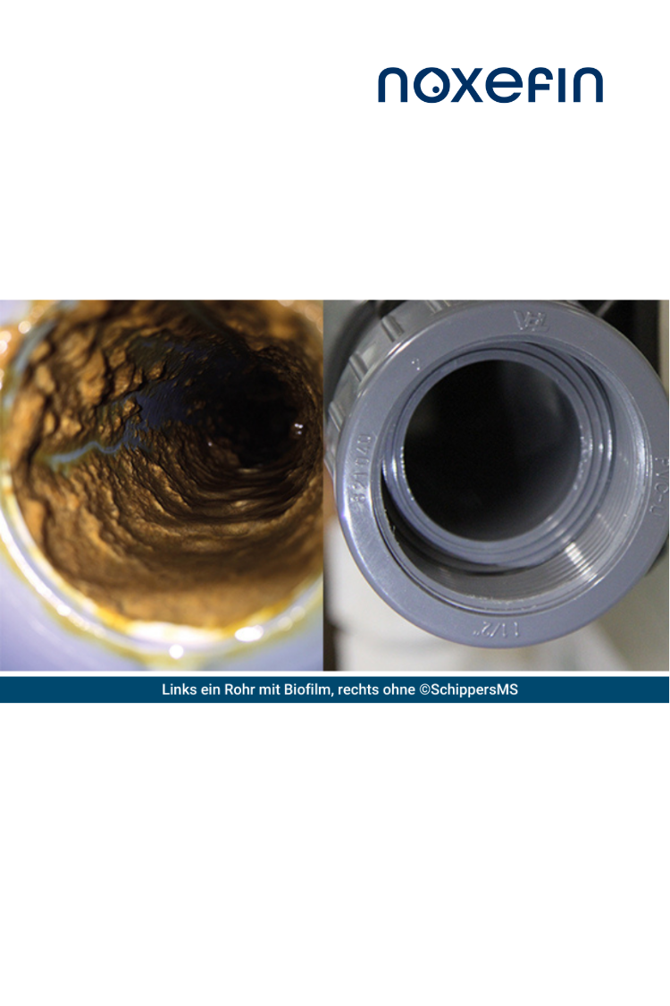 ADD.ONE MOBILITY by noxefin® - Wasseraufbereitung & Trinkwasserdesinfektion I 5 Liter